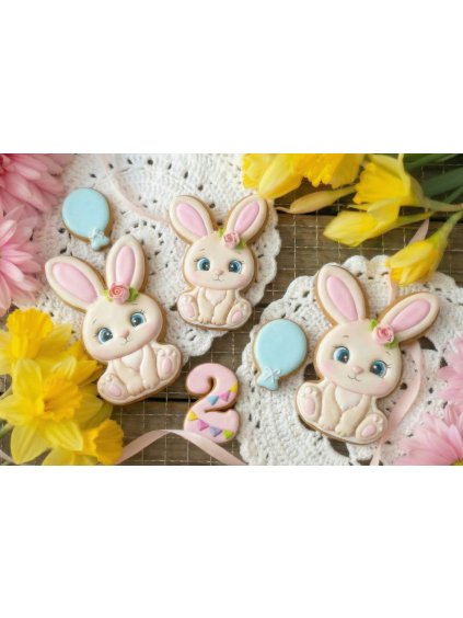 Návrh bez názvu 2026 02 11T191257.860