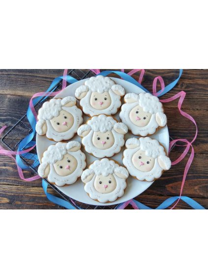 Návrh bez názvu (42)