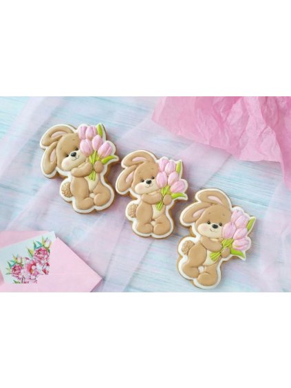 Návrh bez názvu (49)