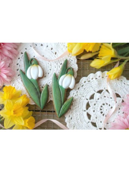 Návrh bez názvu (53)