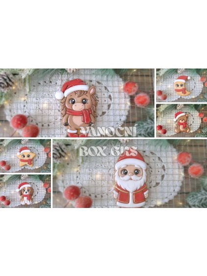 VÁNOČNÍ BOX