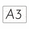 A3