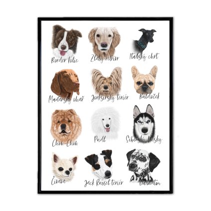 poster dogs cover