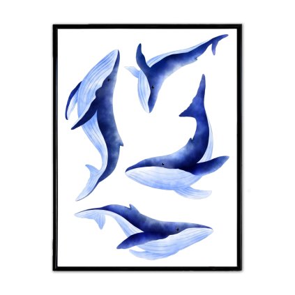 poster whale cover
