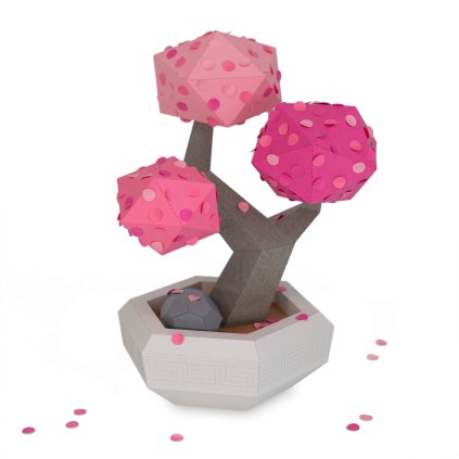 sakura leaves white cover 2k.min