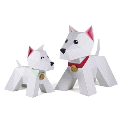 westik duo on white wide 3k