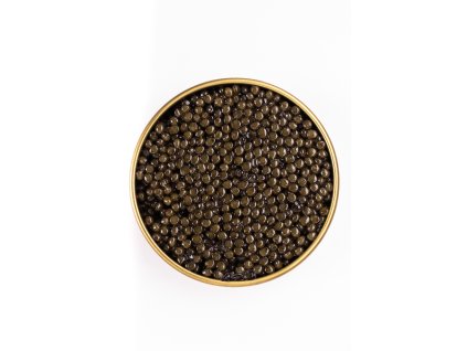 makro oscietra