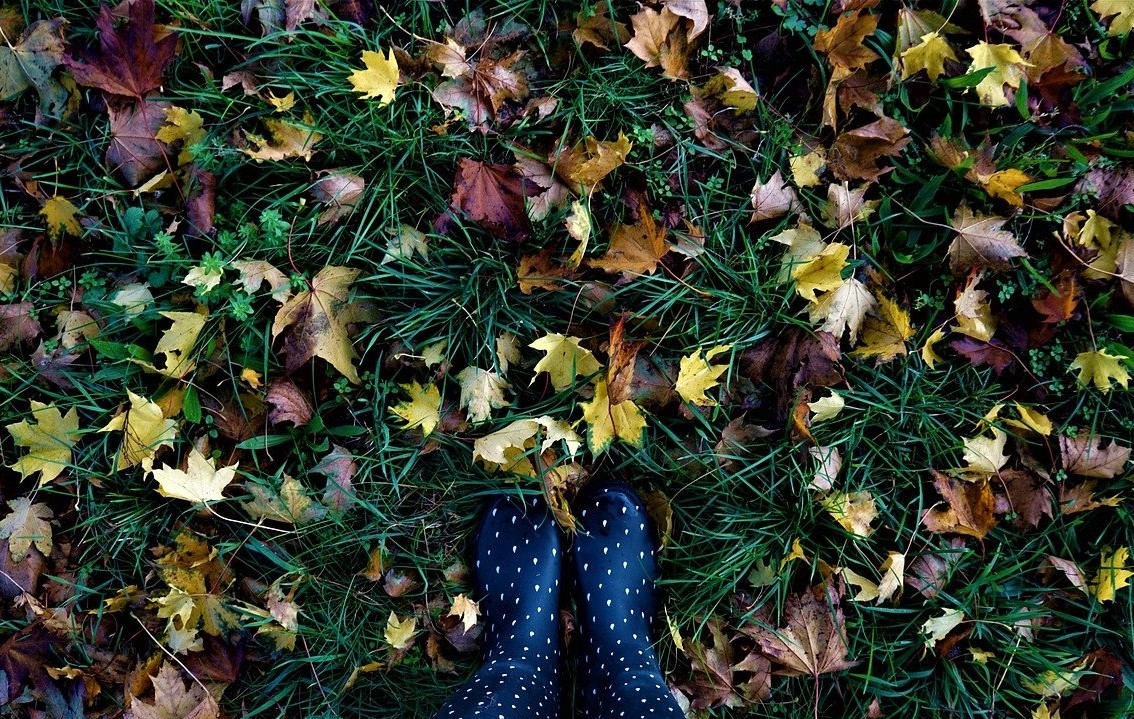 Podzimní čas v Ájurvédě a TČM