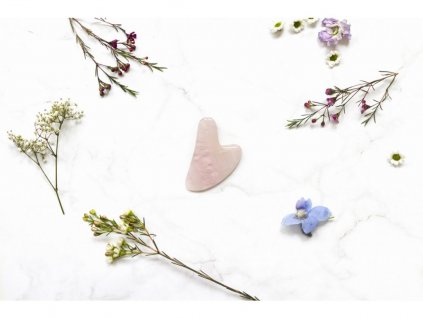 Gua sha růženin