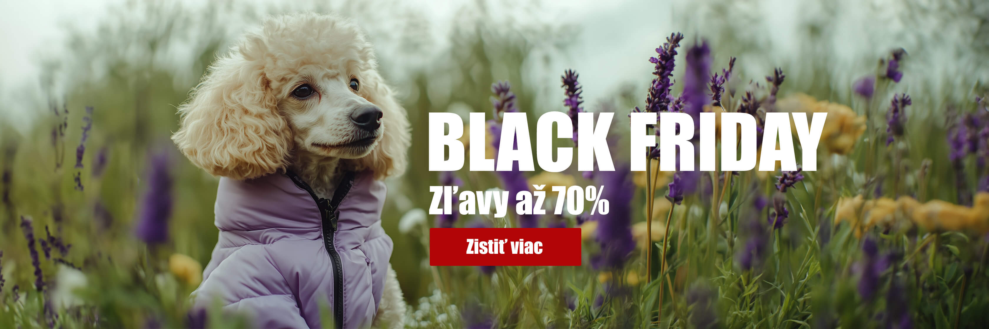 Black friday - zľavy až 70%