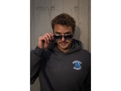 Asertuju dominanci - šedá