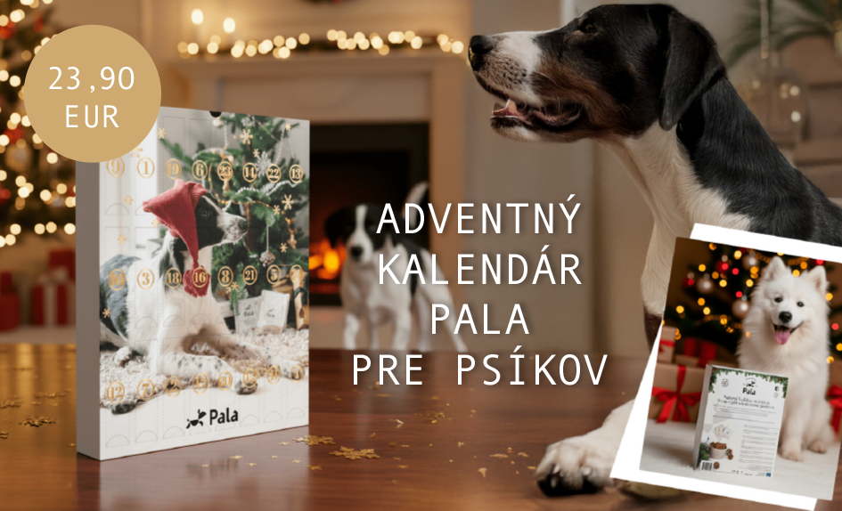 Adventný kalendár Pala