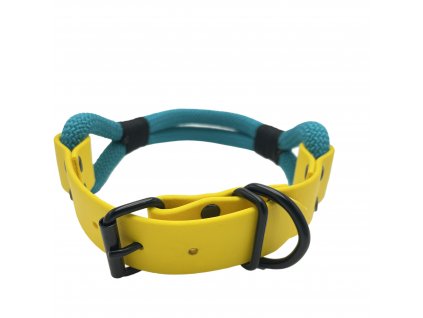 asherschoice biscuit aquamarine blue, yellow, black IMG 4532