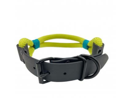 asherschoice biscuit Lime green black IMG 4898