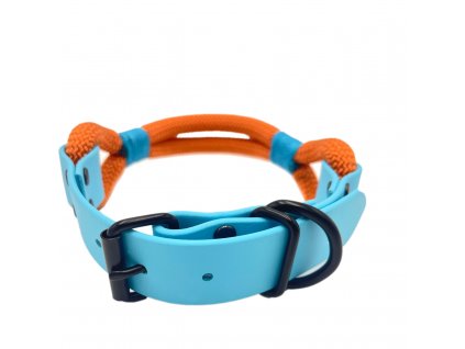 asherschoice biscuit Foxy orange, blue IMG 5061
