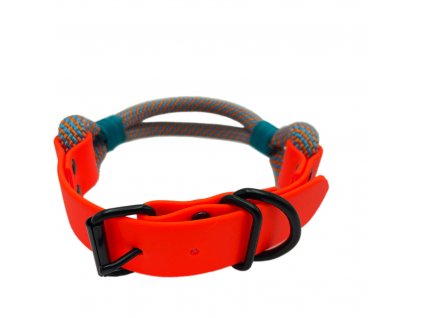 asherschoice biscuit Foxy blue, orange IMG 4918