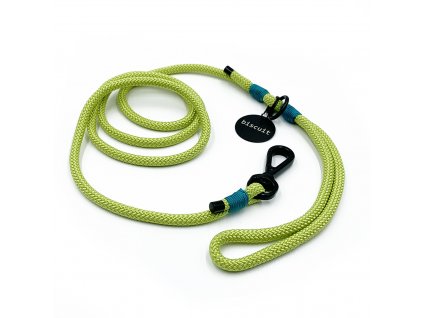 Lime, Aquamarine blue IMG 28292