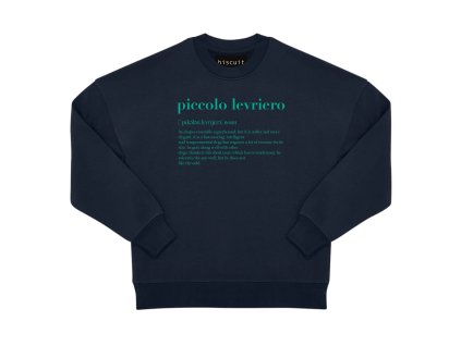 10 piccolo levriero MIKINA BISCUIT asherschoice Navy Blue Oversize