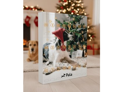 AshersChoice Pala Advent Calendar2025 c