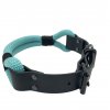 turquoise, black IMG 4426 kopie