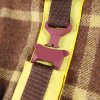 Sherlock BROWN asherschoice biscuit detail IMG 6782