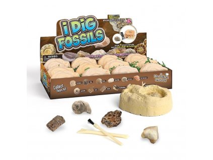 Fossil Dig Kit - 12 ks sada vykopávek zkamenělin