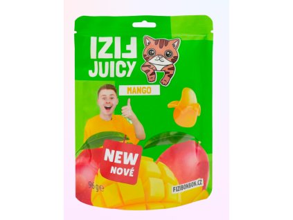 Snímek obrazovky 2025 12 13 194624