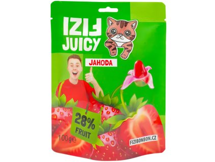 Snímek obrazovky 2025 12 13 195119