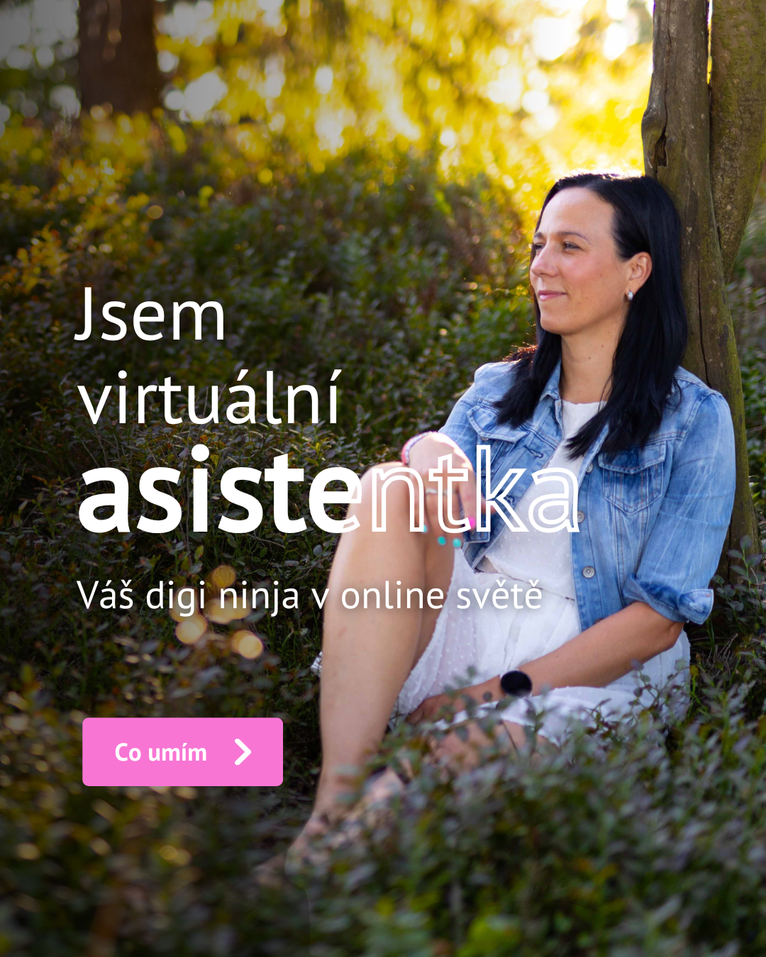 Virtuální asistentka