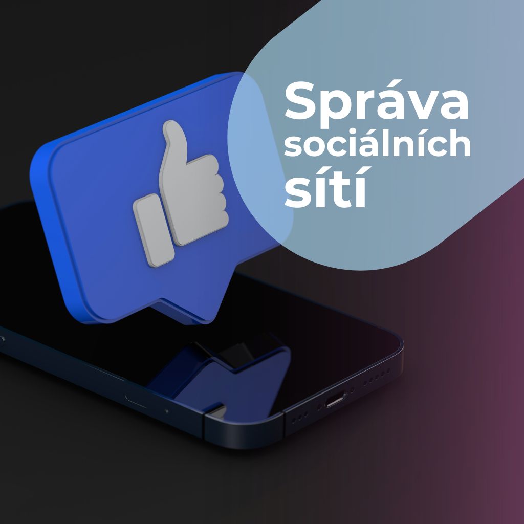 Správa sociálních sítí, Michaela Bažilová