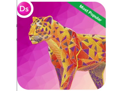 WILCOM.EmbroideryStudio 2026 Designing