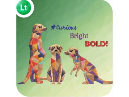 WILCOM.EmbroideryStudio 2026 Lettering