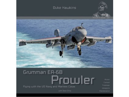18869 29390 170 dh021 grumman ea 6b prowler