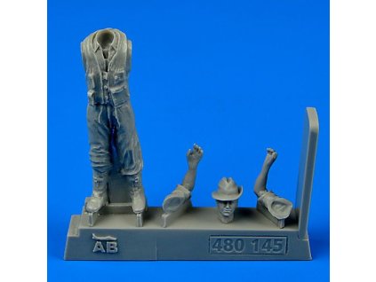 23831 1 48 royal australian air force fighter pilot wwii