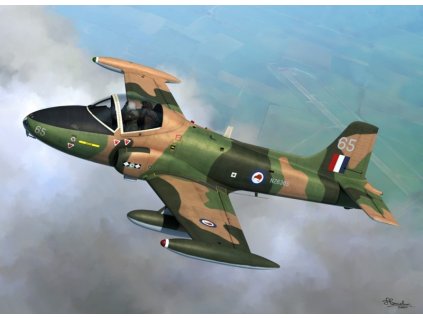 24818 36285 sw72090 bac 167 strikemaster