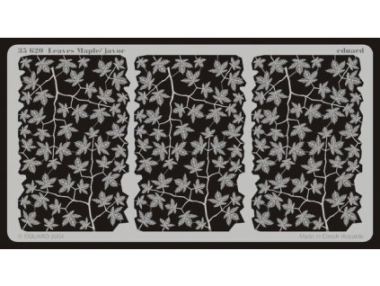 Leaves Maple / Javor