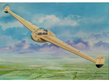 1/72 Naleszkiewicz JN - 1