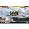 P-40E Warhawk 1/48 recommended for 82241