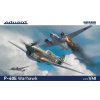 P-40E Warhawk 1/48