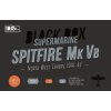 1/72 Supermarine Spitfire Mk Vb - North West Europe 1941-44 - Black Box Limited Edition
