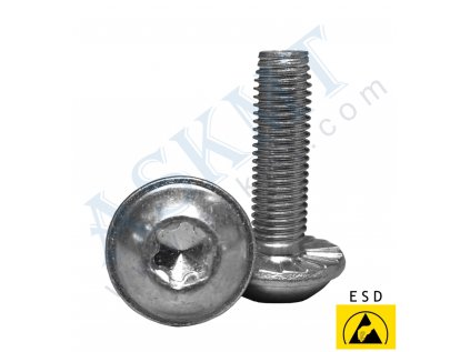 450 300 039 - Centrální šroub S8x25-TX40 (samořezný), Zn., BR-8, ASKMT-00