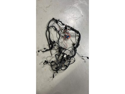 6CFD74B7 B5B6 4BE7 BC5E CDBDFC79F3E8