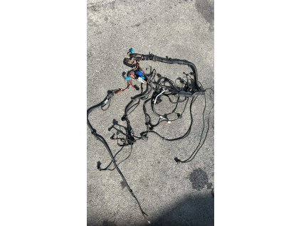 99E89CFF 3D4C 49F5 83A4 D6CBCB317A73