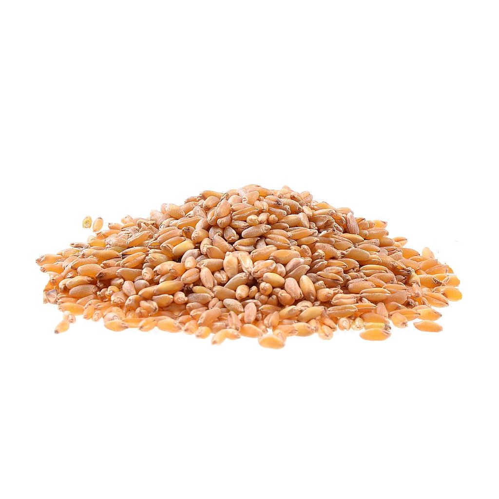 1483 tvrda psenice bio 500g
