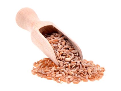 1447 dvouzrnka bio 500g