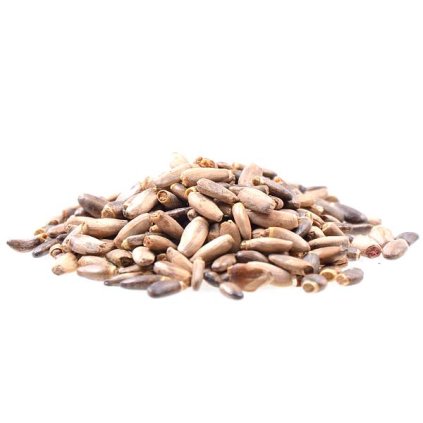 730 ostropestrec mariansky seminko bio 100g