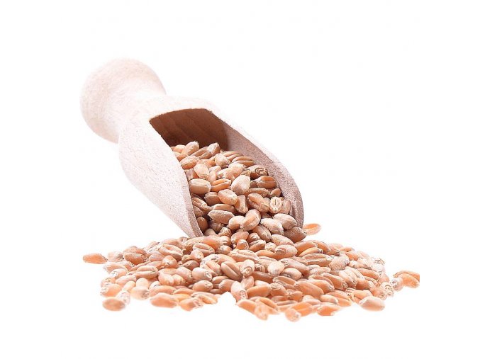 Pšenice ozimá Bio 1kg