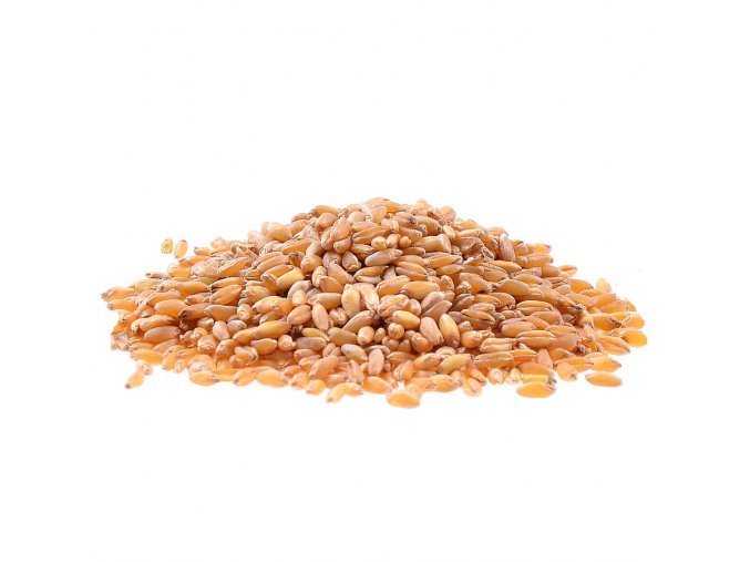 Tvrdá pšenice Bio 1kg