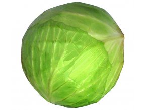 Kapusta ready