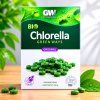 chlorella ready 1